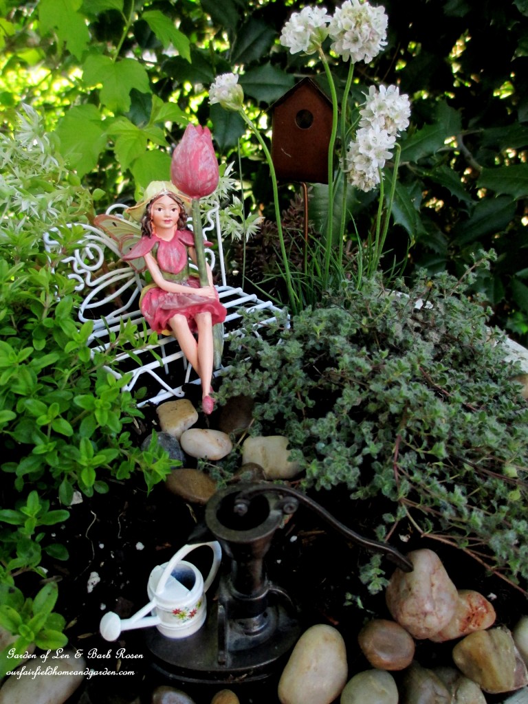 Tulip Fairy sitting amidst the wooly thyme, lemon thyme, Armeria "Morning White Star", stonecrop sedum "Larienem Park" and "Coral Carpet". https://lolajack.jp.net/diy-project-mothers-day-fairy-garden/