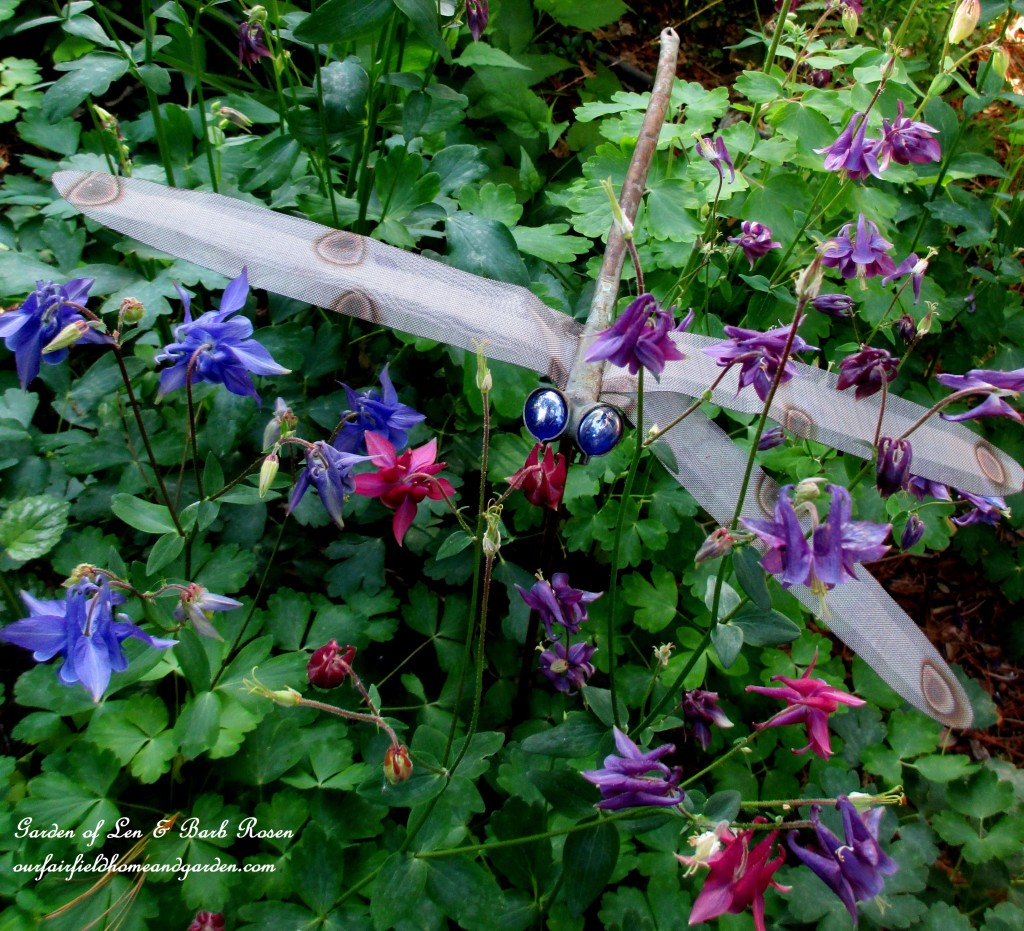 Dragonfly in the Columbine https://lolajack.jp.net/may-garden-birdhouses-flowers/