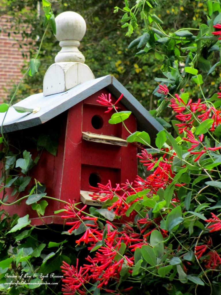 Birdhouse & Lonicera https://lolajack.jp.net/may-garden-birdhouses-flowers/