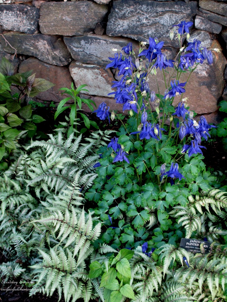 https://lolajack.jp.net/springtime-in-goodstay-gardens/