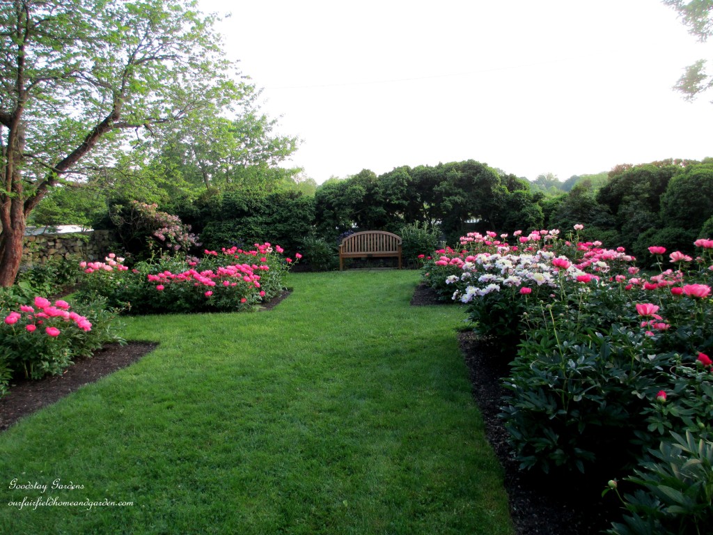 https://lolajack.jp.net/springtime-in-goodstay-gardens/
