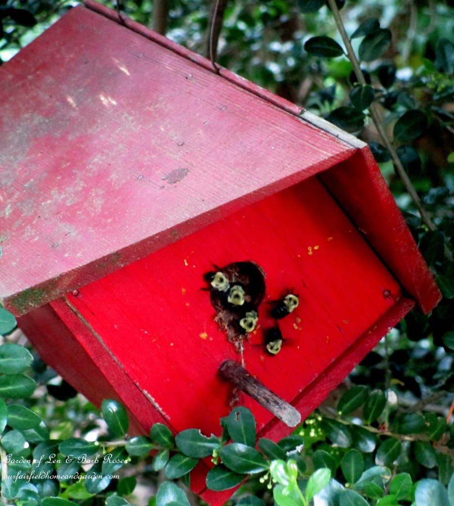 Bumble bee Hotel https://lolajack.jp.net/garden-walk-june-1st/