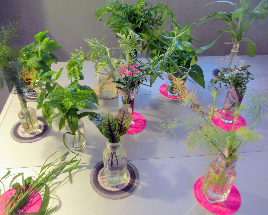 samples of fragrant plants from the garden https://lolajack.jp.net/diy-project-country-flower-basket/