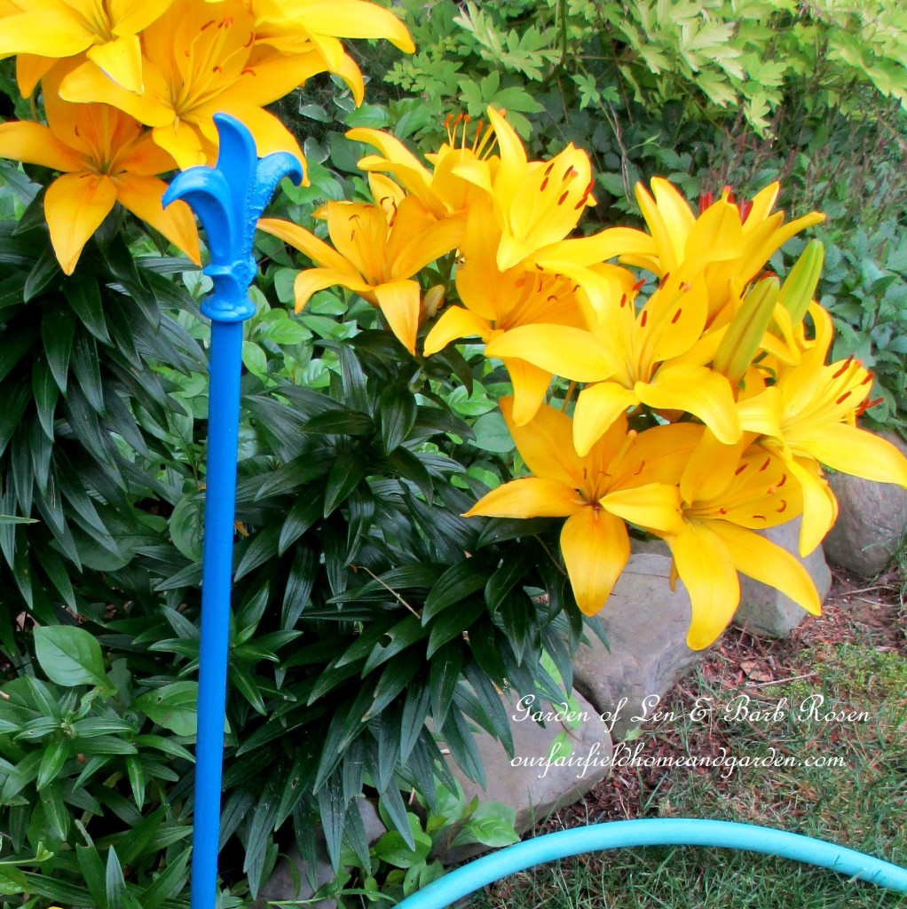 curtain rods become hose guards https://lolajack.jp.net/diy-project-hose-guides-from-curtain-rods/