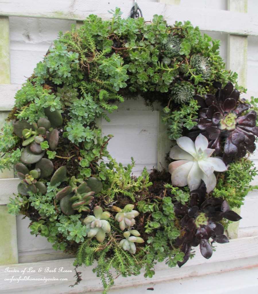 ~ finished succulent wreath ~ https://lolajack.jp.net/diy-project-make-a-succulent-wreath/