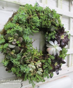 ~ Succulent Wreath ~ https://lolajack.jp.net/diy-project-make-a-succulent-wreath/