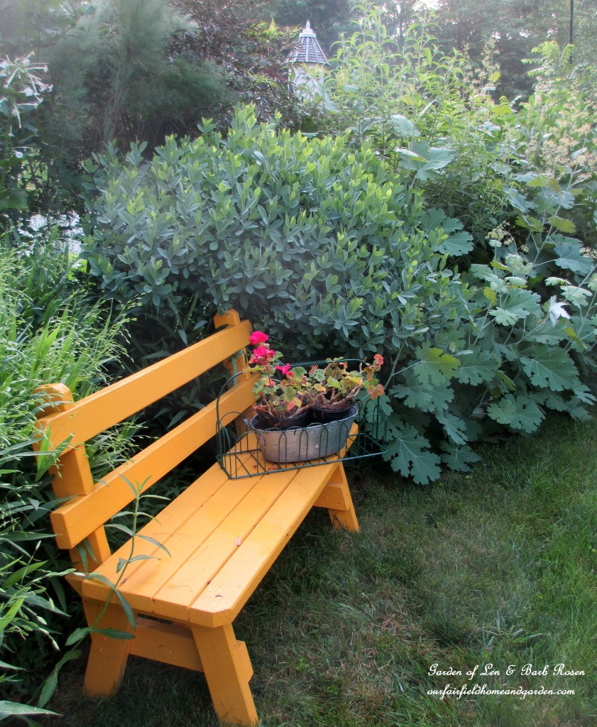 yellow bench in the front garden https://lolajack.jp.net/garden-walk-july-1st/