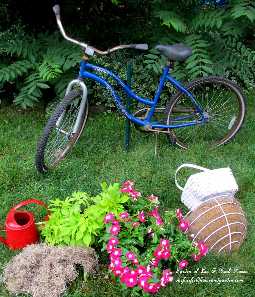 Assemble the materials ~ two baskets, plants, sphagnum moss and an old bike. https://lolajack.jp.net/diy-project-my-bicycle-planter/
