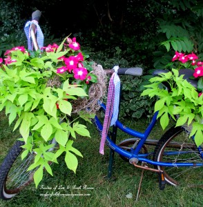 Make a bike planter! https://lolajack.jp.net/diy-project-my-bicycle-planter/