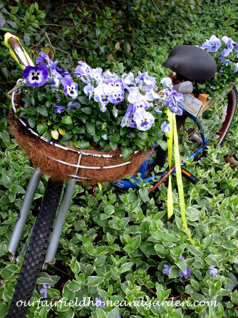 Bike Planter with Pansies https://lolajack.jp.net/diy-project-my-bicycle-planter/
