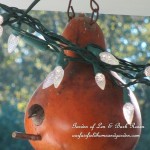 It's All About the Birds! https://lolajack.jp.net/its-all-about-the-birds-birdfeeders-birdbaths-and-birdhouses-in-our-garden/