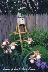 Ladder Birdhousehttps://lolajack.jp.net/its-all-about-the-birds-birdfeeders-birdbaths-and-birdhouses-in-our-garden/