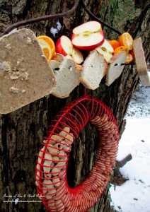 winter feeding https://lolajack.jp.net/its-all-about-the-birds-birdfeeders-birdbaths-and-birdhouses-in-our-garden/