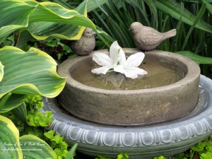 Birdbath in the Hostas https://lolajack.jp.net/its-all-about-the-birds-birdfeeders-birdbaths-and-birdhouses-in-our-garden/