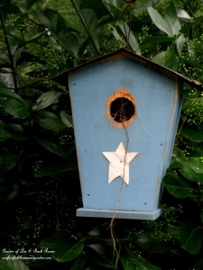 Well used birdhouse https://lolajack.jp.net/its-all-about-the-birds-birdfeeders-birdbaths-and-birdhouses-in-our-garden/