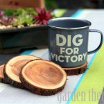 Natural Branch Coasters * click it !