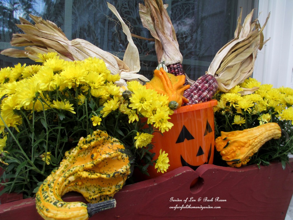 Fall Kitchen Window Box https://lolajack.jp.net/fall-decorating-at-our-fairfield-home-and-garden/