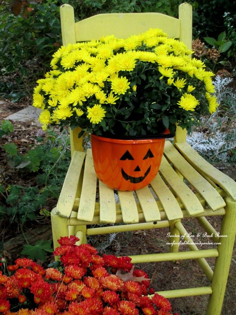 Halloween candy bucket used as a mum planter. https://lolajack.jp.net/fall-decorating-at-our-fairfield-home-and-garden/