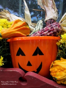 Fall Kitchen Window Box https://lolajack.jp.net/fall-decorating-at-our-fairfield-home-and-garden/