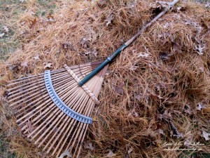 raking is great exercise! https://lolajack.jp.net/diy-tucking-the-garden-in-for-the-winter-at-our-fairfield-home-garden/