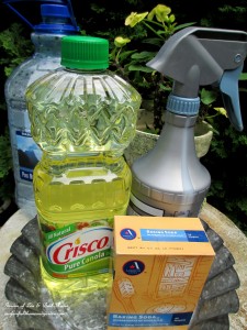 Make your own dormant oil spray for pennies! https://lolajack.jp.net/diy-tucking-the-garden-in-for-the-winter-at-our-fairfield-home-garden/
