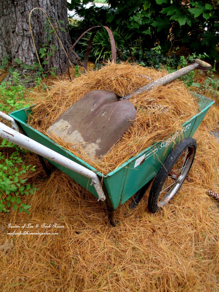 pine straw makes excellent mulch https://lolajack.jp.net/diy-tucking-the-garden-in-for-the-winter-at-our-fairfield-home-garden/