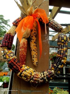 Here's the corn cob wreath I spotted in a garden center for $15 ! https://lolajack.jp.net/diy-fall-corn-cob-wreath/
