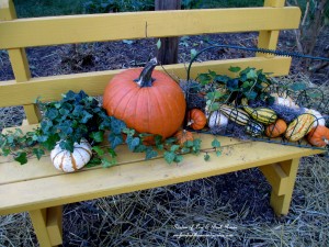 Fall gourds and hay in the cleaned front garden https://lolajack.jp.net/diy-tucking-the-garden-in-for-the-winter-at-our-fairfield-home-garden/