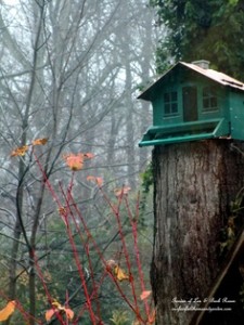 squirrel-proof feeder https://lolajack.jp.net/its-time-to-feed-the-birds/