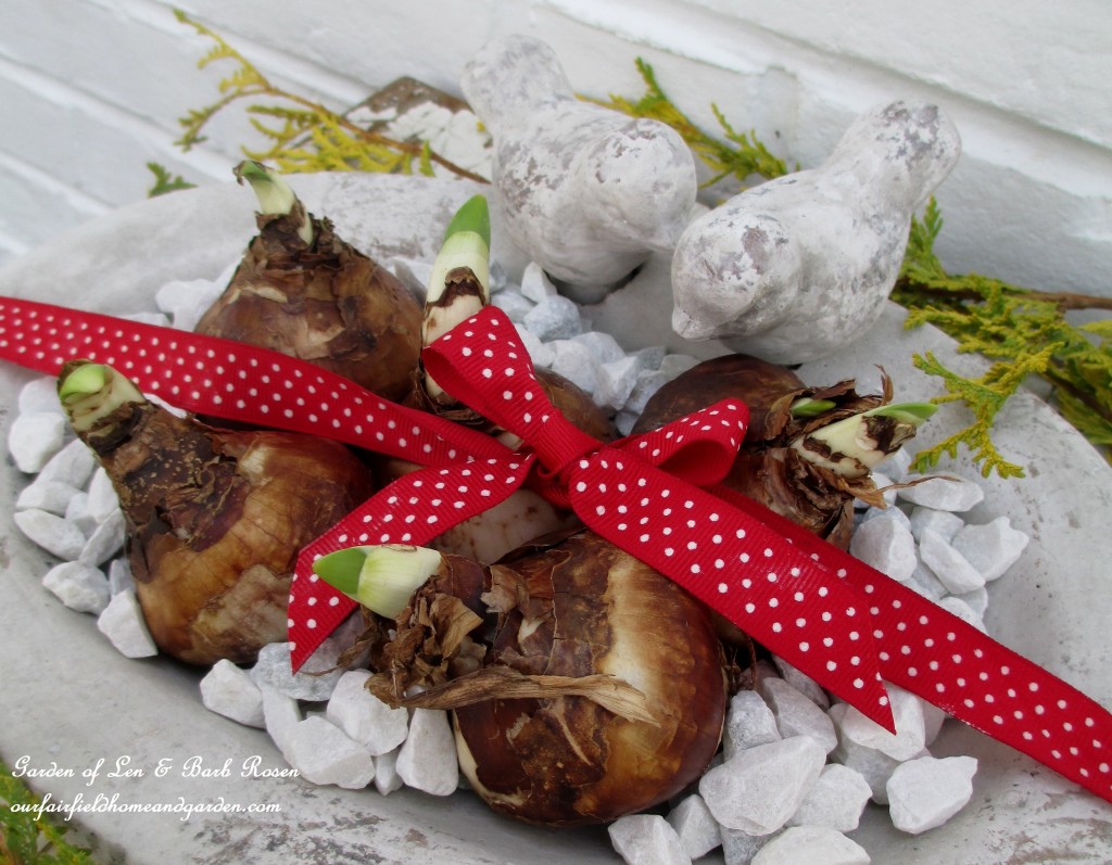 gifts for gardeners https://lolajack.jp.net/diy-gifts-for-the-gardener/