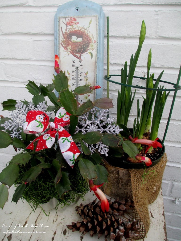 gifts for gardeners https://lolajack.jp.net/diy-gifts-for-the-gardener/