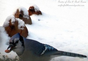 Blue Jay having supper https://lolajack.jp.net/its-time-to-feed-the-birds/