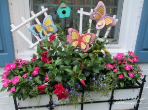 Summer Window Box https://lolajack.jp.net/garden-walk-my-summer-garden/