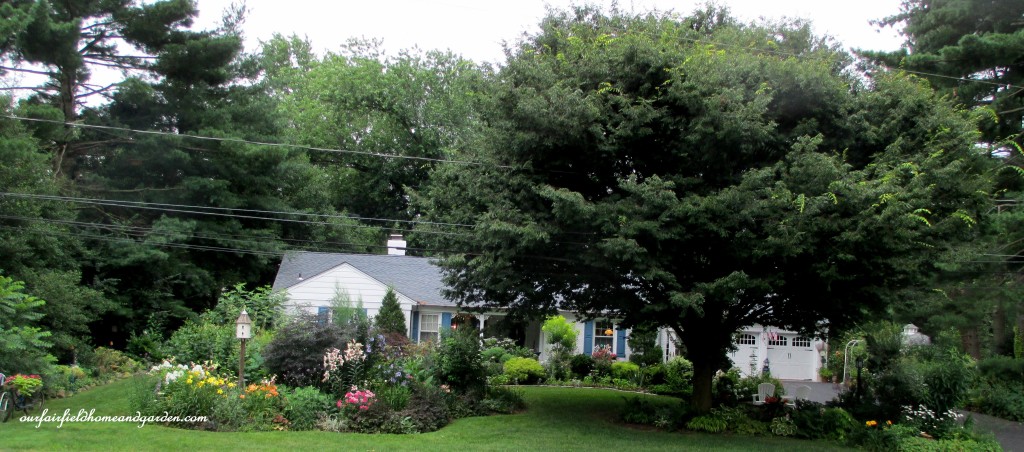 Our Fairfield Home & Garden https://lolajack.jp.net/5-years-before-after-in-our-fairfield-garden/