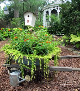 Planted Rusty Wheelbarrow https://lolajack.jp.net/flower-pairings/sun-loving/