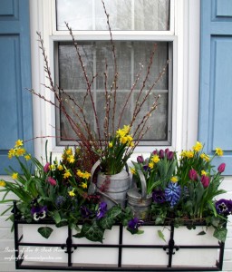 Spring Window Box https://lolajack.jp.net/diy-project-welcome-spring-time-to-change-the-window-boxes/