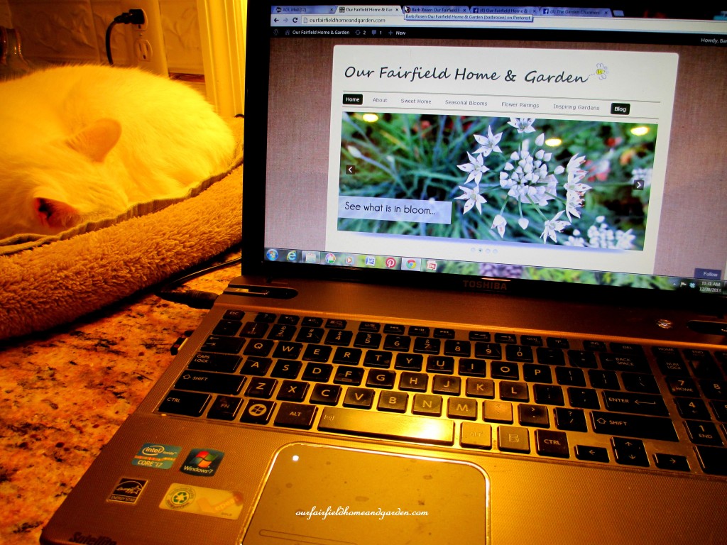 laptop computer https://lolajack.jp.net/winter-comforts-at-our-fairfield-home-garden/