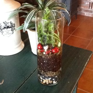 Terrarium http://sensiblegardening.com/the-closed-terrarium/
