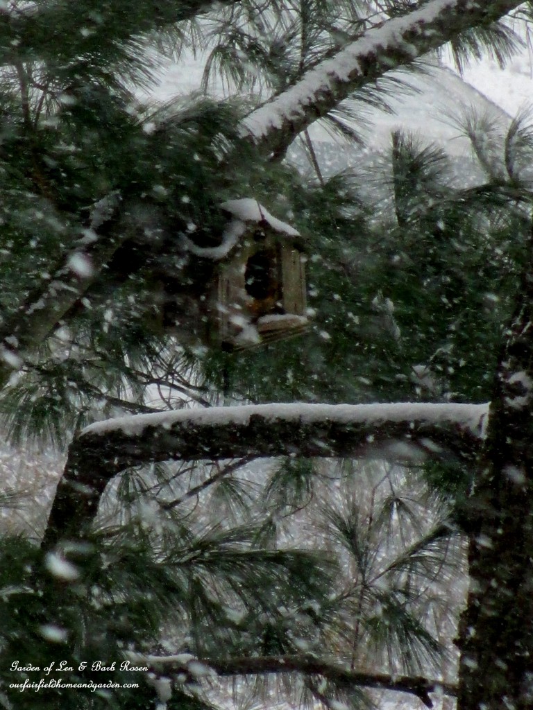 birdhouse in the snow https://lolajack.jp.net/winter-birds-our-fairfield-home-garden/