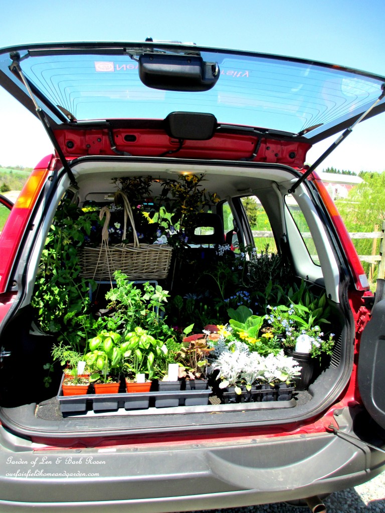 carload of nursery plants https://lolajack.jp.net/spring-fever/