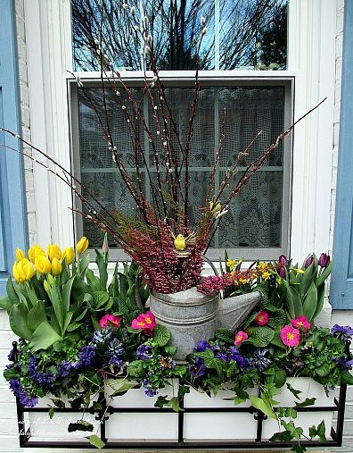 Spring Window Box https://lolajack.jp.net/spring-fever/