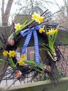 spring booms https://lolajack.jp.net/spring-is-busting-out-all-over/