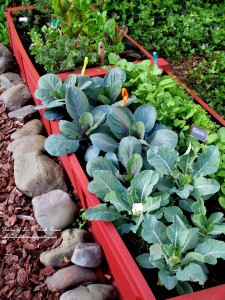 raised planting beds https://lolajack.jp.net/diy-project-raised-beds-for-free/