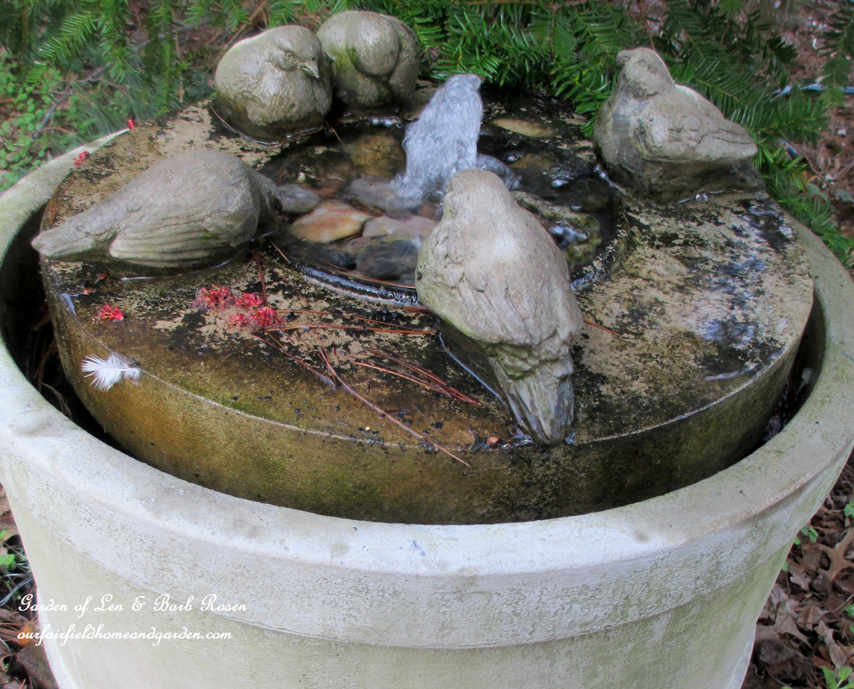Birdbath https://lolajack.jp.net/signs-of-spring-at-our-fairfield-home-garden/