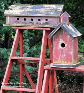 garden ladders https://lolajack.jp.net/garden-ladders/