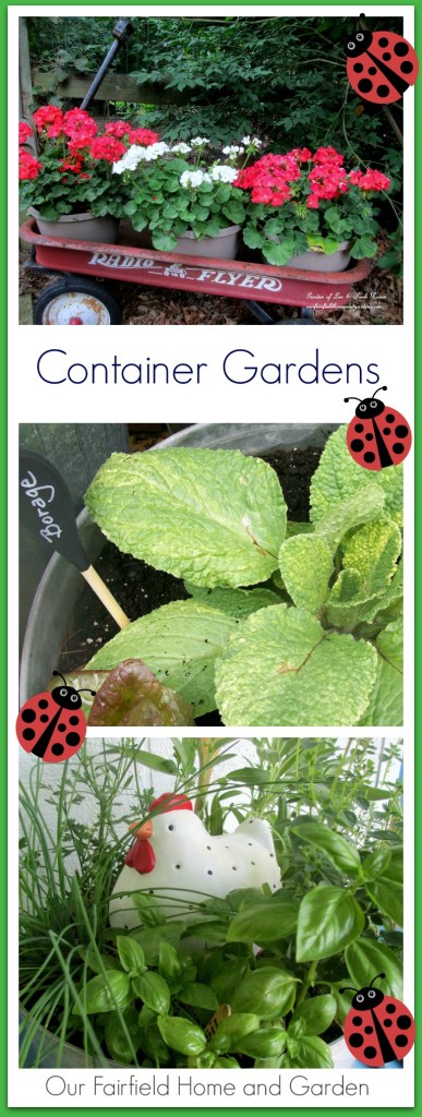 Container Gardens https://lolajack.jp.net/container-gardens-our-fairfield-home-garden/