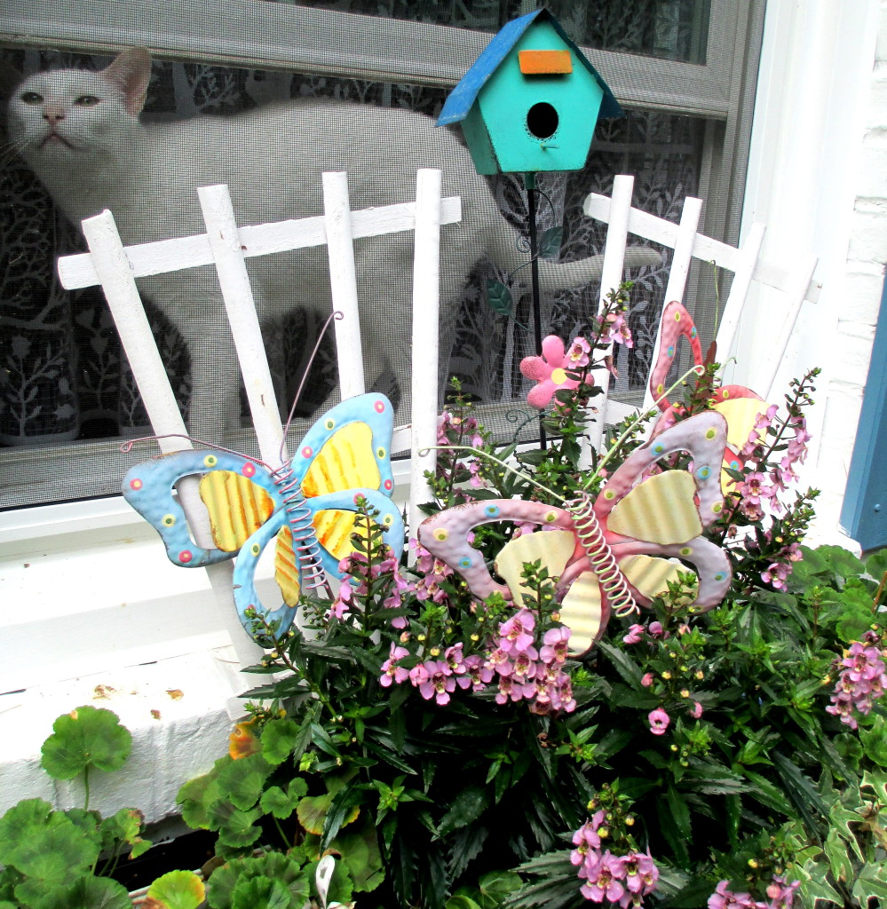 cat in the window https://lolajack.jp.net/june-garden-our-fairfield-home-garden/