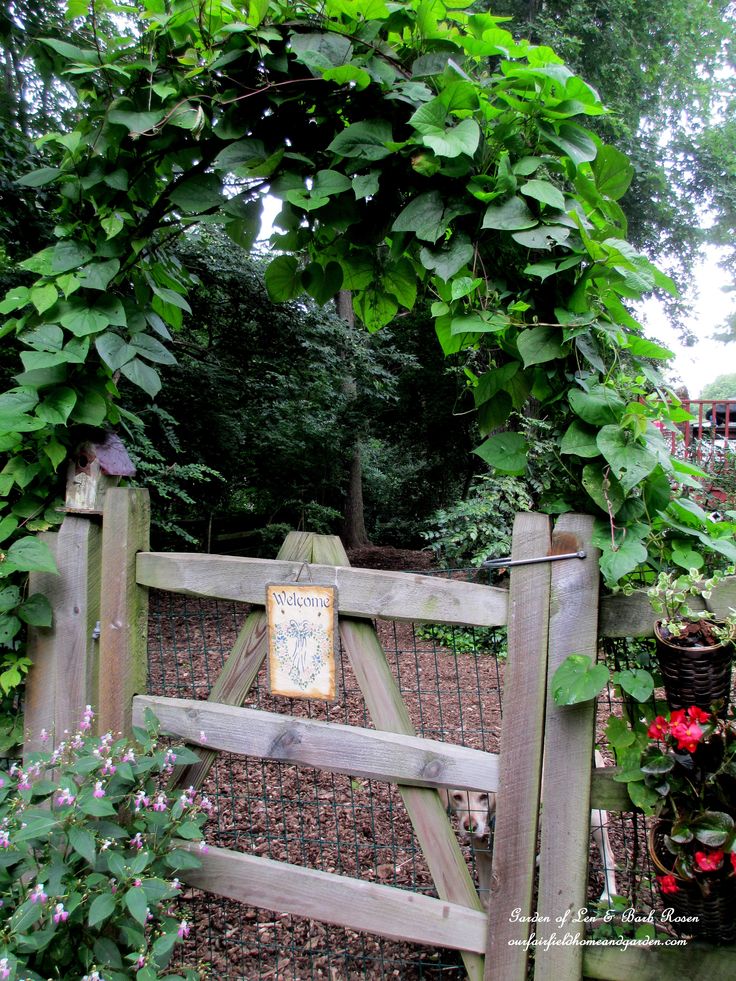 Simple Branch Arbor https://lolajack.jp.net/diy-project-a-simple-branch-arbor/