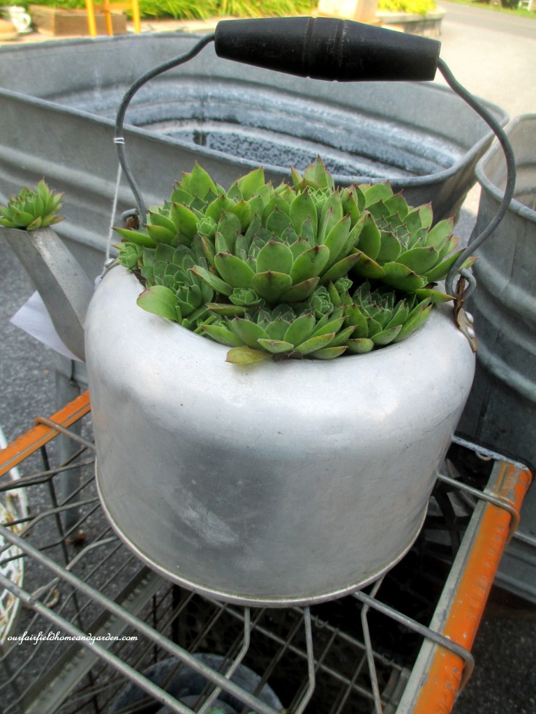 Planted Kettle https://lolajack.jp.net/field-trip-potting-bench-from-a-dresser-and-other-ideas-gathered-in-lancaster-county-pa/