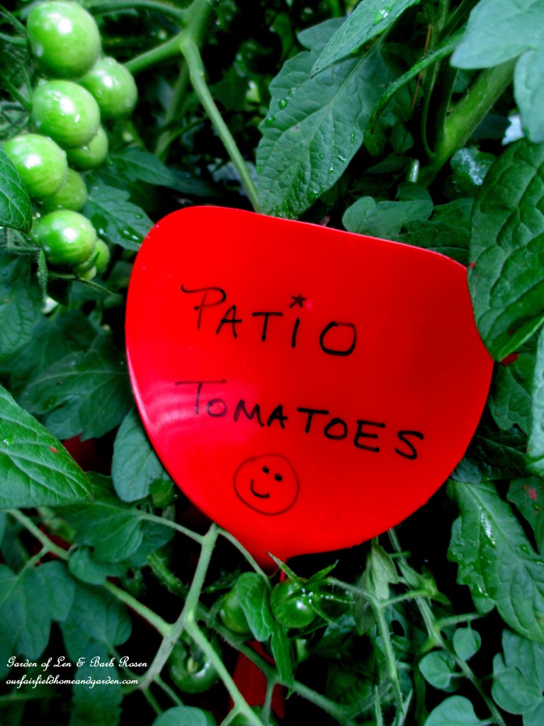 Dollar Store Garden Marker https://lolajack.jp.net/kitschy-kitchen-garden-accents/